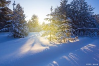 健康生活的身心平衡艺术