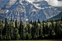 培养少糖、少盐、少油的低温烹调生活