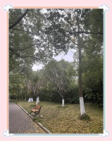 一周自律生活挑战：减肥与健康并行