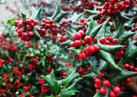 中医冬季日常生活起居作息