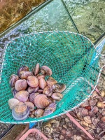 瘦子的6个生活习惯，轻松变瘦