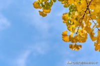 节后瘦身的6个生活习惯