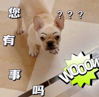 番石榴叶茶：健康生活的秘密武器