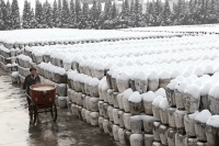 健康生活，从品味黄酒开始