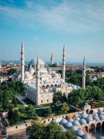 重阳节：传承尊老文化与现代健康生活的温情节日