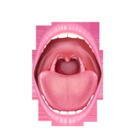 中西医结合减重法：贾玲式成功案例与健康生活新选择