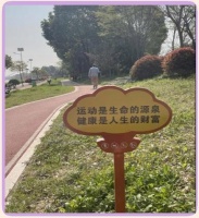 科学体重管理与健康生活方式指南