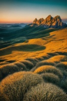 营养早餐365天不重样，每日食谱助力健康生活每一天