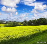 三農(nóng)問題探討：鄉(xiāng)村振興離不開社會(huì)化生態(tài)農(nóng)業(yè)