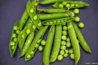 肾脏对老年生活的影响