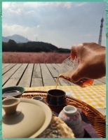 六堡茶：中老年人健康生活的秘籍