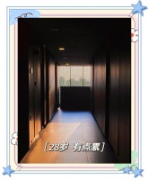 28岁，如何找到生活的平衡点