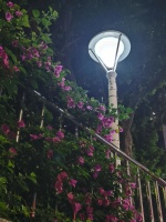 28岁全职妈妈的平衡术：带娃也能精彩生活