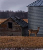 拥抱健康生活：从心开始的全方位改变