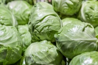 癌症康复期不可忽视的六个生活习惯，科学降低复发风险