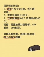 ♂️每日运动计划：健康生活的第一步