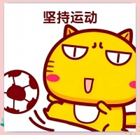 轻松开启健康生活的每日运动计划