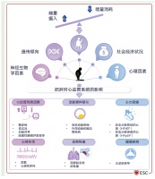ECO 2025丨SELECT 研究获益新证据：司美格鲁肽（减重版）能否让患者赢在起跑线？