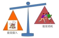 科学瘦身指南：健康饮食与生活习惯全解析