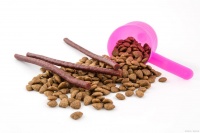 宠物喂养新趋势，以天然食材打造健康生活