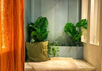 绿色生活，从家开始：打造健康居住空间