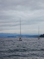 探索全面健康生活：从科学饮食到日常习惯的养成