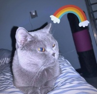 20个日常习惯，让你生活更健康