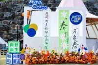 乐享绿色露营韵律，共赴“N+健康生活”之约