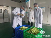驻马店：突击检查高考供餐单位 全力守护考生饮食安全