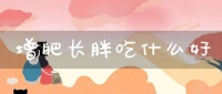 增肥长胖吃什么好