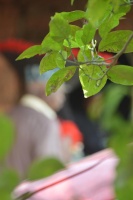 健康养生：如何培养积极的生活态度？