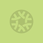 健康减肥，美丽生活小组