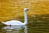 两人在床上打扑克的软件,床边娱乐新风尚，健康生活需平衡