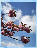 健康生活：心理与身体的双重保障