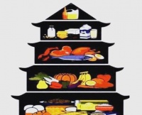 健康生活：心态、睡眠、运动、营养的多面解析