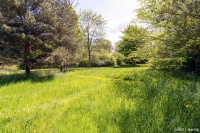 关节健康新公式：抗炎餐桌低冲击生活+808纳米光疗