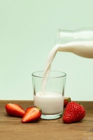 饮食与运动的黄金搭配原则：解锁健康生活的双重密码