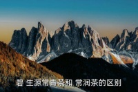 碧生源常润茶广告,关于常润茶你必须知道的事