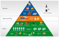 Defining a Healthy Diet: Evidence for the Role of Contemporary Dietary Patterns in Health and Disease
