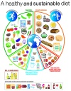 Fundamentals of a healthy and sustainable diet