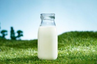 每天喝牛奶与从不喝牛奶：解密健康生活的微妙差异