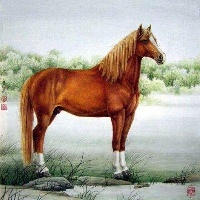 烙锅有哪些配菜