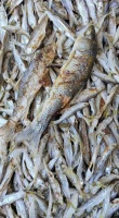 低脂蜜桃酸奶早餐，清爽美味