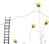 健康生活，成就幸福人生