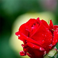 隆胸手术后多久恢复性生活？