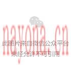 实战点穴60例调病绝技一