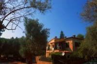 2025健康养生有规律生活