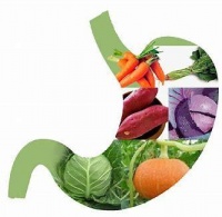 五个生活小常识助力健康肠胃