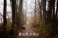 能量等级表,心理能量等级表:越高情绪等级能量值越大