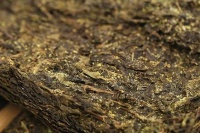 【图片】科普（老鸟避让）：安化黑茶茯砖茶里面的金花是发霉么？